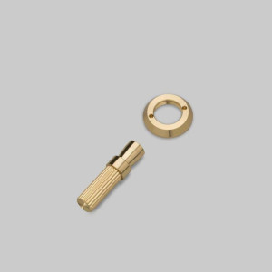 BUSTER + PUNCH | VIPPEBRYTER / DETAIL KIT / TOGGLE / LINEAR / NO TORX CAPS / BRASS