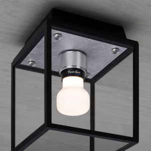 BUSTER + PUNCH | CAGED WET | CEILING | SMALL | STEEL